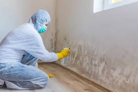 Trusted Idalou, TX Mold Remediation Experts